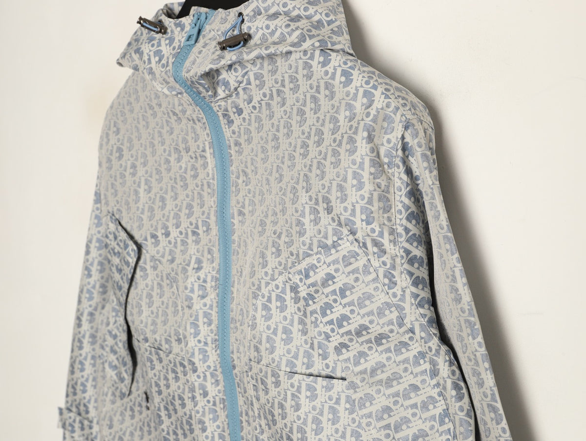 Dior Bee Oblique Logo Hooded Zip Jacket - Grey