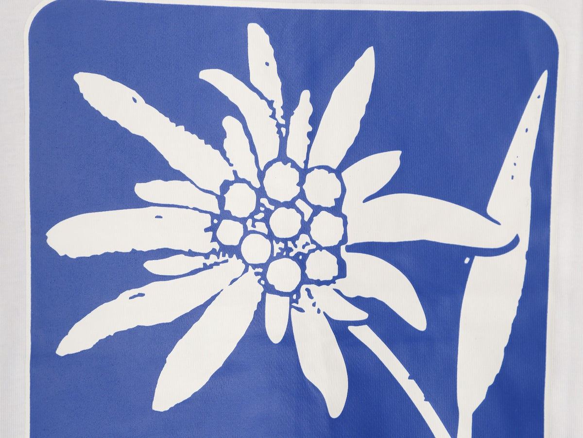 Louis Vuitton Blue Floral Graphic Short-Sleeve T-Shirt - White